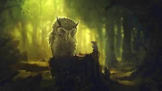 Myst On The Moor / Mystical Music ( No Copyright Music )