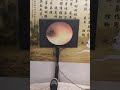 耳垢そうじ/耳が痒くなった鼓膜に付着した軟耳垢/ 011 -#shorts