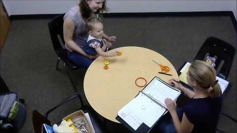 Bayley example: imitation and social referencing