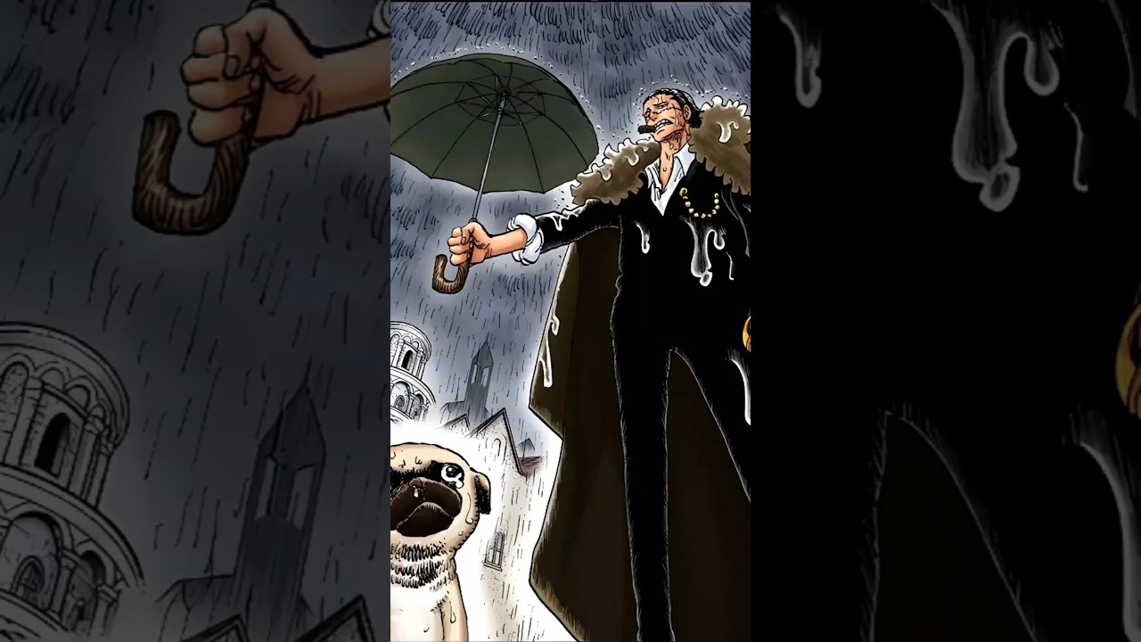 Random One Piece Facts That You Probably Didn't Know About 