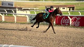 210903 c09 - ALTANERA BATI - HIPODROMO LAS PIEDRAS