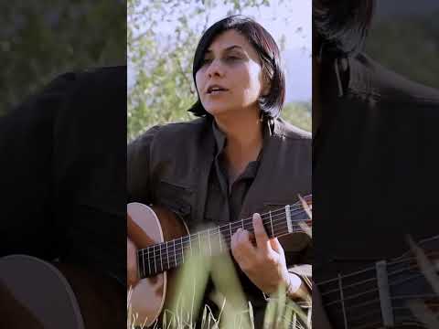 Awazê çîya Dara Jîyanê