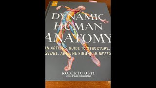 Little Known Gem - Dynamic Human Anatomy: An Artist's Guide to Structure, Gesture - Book Review screenshot 4