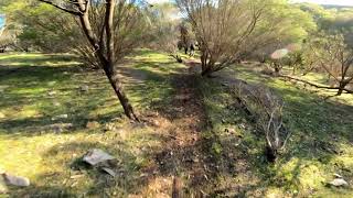 One Fine Sunny Radelaide Day