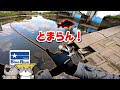 【罰金300万!?】BlueBlueごめん!本気のシーバスが止まんなくてヤバイ!【リバーシーバス/ブラックバス】