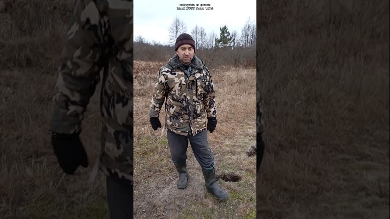 Лисья подстава 