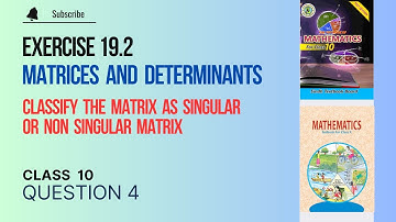 Exercise 19.2 Class 10 Question 4 maths | Classify matrix as singular or non singular | Sindh Board