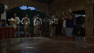 Toro Viejo - Mariachi Los Palmeros El Chante, Jalisco, México