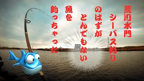 あらかわ 釣り Mp3