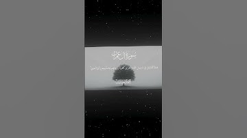 تلاوة هادئة تريح القلب للشيخ محمد اللحيدان🌹🌺