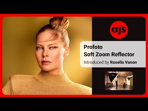 Réflecteur Profoto – Pour éclairage Flash, état Fonctionnel