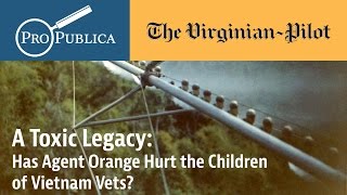 A Toxic Legacy: Has Agent Orange Hurt the Children of Vietnam Vets?