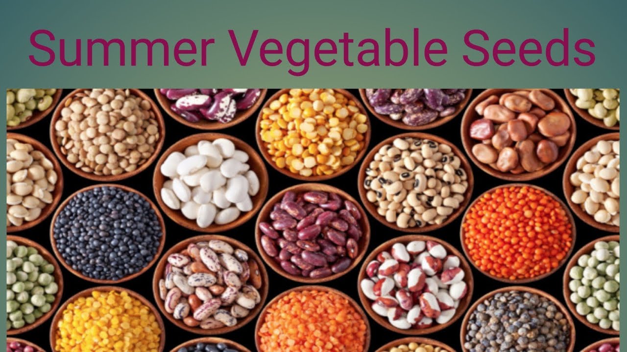 Summer vegetables seeds unboxing | Organic Gardening | Soil to soul Gardening 