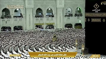 ترتيل شجي ماتع من سورة إبراهيم للشيخ #بدر_التركي | فجر ١٦ صفر ١٤٤٧ هـ