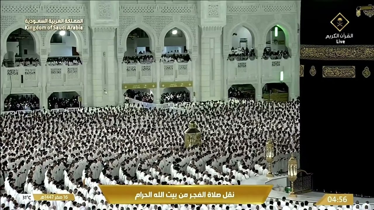 ترتيل شجي ماتع من سورة إبراهيم للشيخ #بدر_التركي | فجر ١٦ صفر ١٤٤٧ هـ