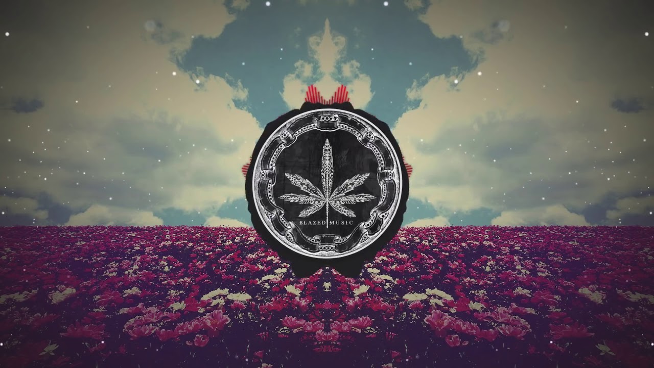 Wu Tang Back In The Game Phoniks Remix YouTube