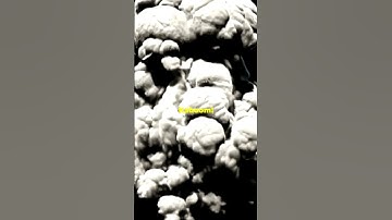 A meteor as strong as 10 atomic bombs exploded over Earth #todayilearned #didyouknow #space #shorts