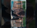 New Fmv Marrymyhusbandjdrama Marrymyhusband Takerusatoh Fukakoshiba Fanmade Fmv New Fmv Marrymyhusbandjdrama Marrymyhusband Takerusatoh Fukakoshiba Fanmade Fmv