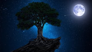 Wonderful Relaxing Sleep Music for Stress Relief • Calm The Mind, Meditate, Study, Yoga (Deep Sleep)