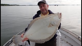 DOORMAT Fluke (Summer Flounder) and Lighthouse Drone Video