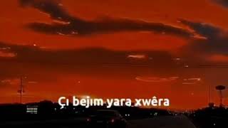 حالات واتس أب اغاني كردي لو كرمو كورمي داري Muzek Kurdi Lo Kutmo Küreme Darê