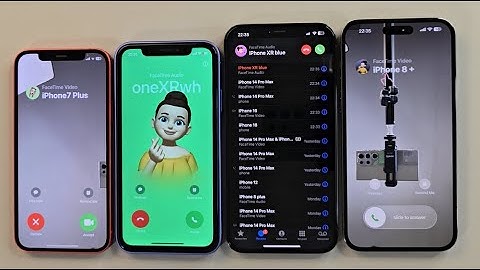 iPhone 12 iPhone 16 iPhone 12 Pro Max iPhone 14 PM Incoming call FaceTime Outgoing call same call