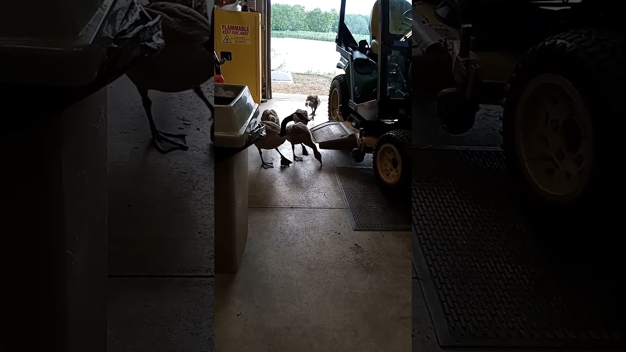 I got some help at work today 