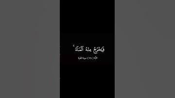 الأية ( ٧٤ ) سورة البقرة  | بصوت الشيخ أحمد العجمي