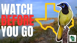 5 Thing You Need to Know Before Birding in the Rio Grande Valley (South Texas)