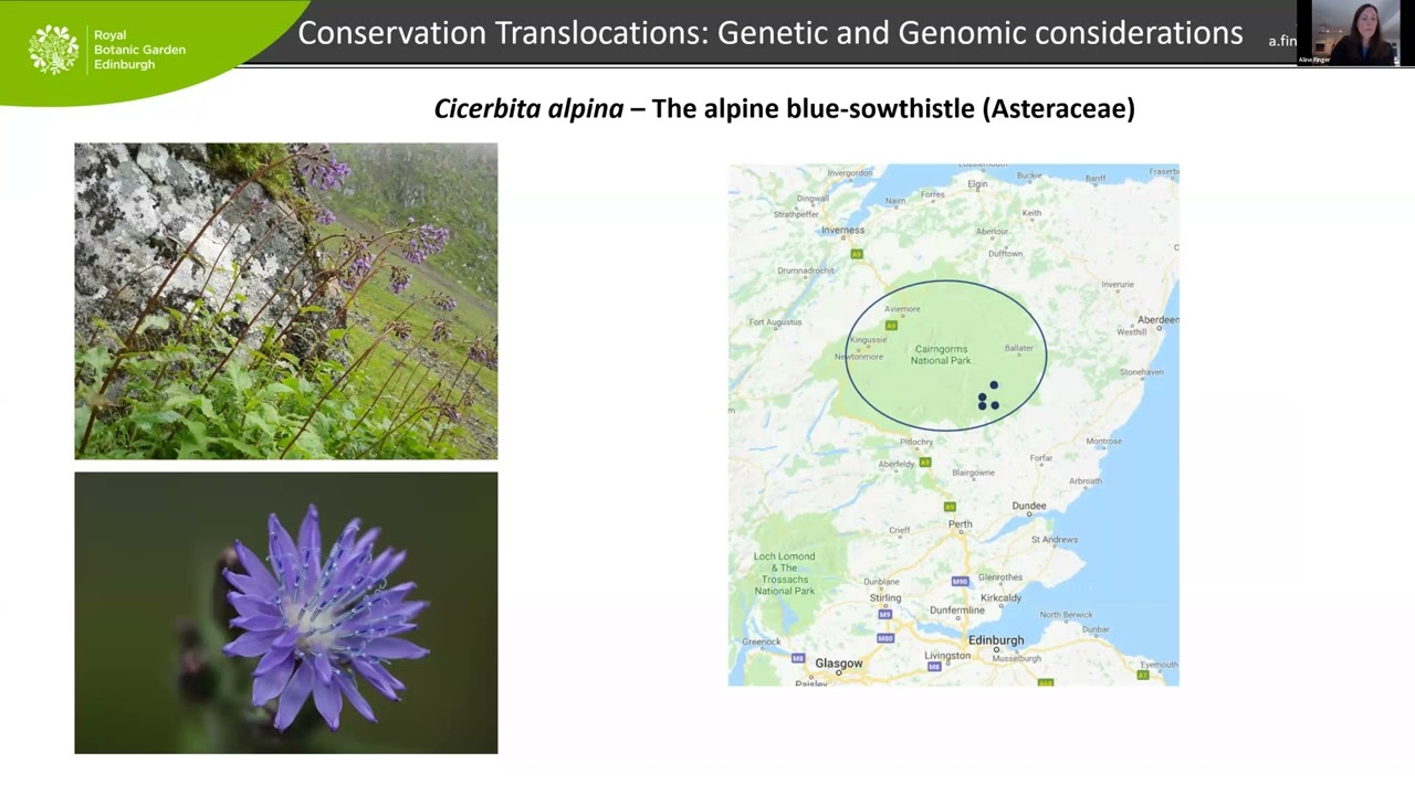 Conservation Translocations in Development Mitigations: - Applying The IUCN Guidelines - Session 2