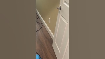 Emergency water dry up after flood! Older video from the archive. #shorts #flooding #remediation