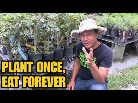 The 'Plant Once, Eat Forever' Secret: Perennial Vegetables