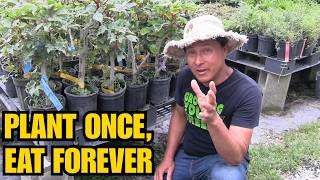 The 'Plant Once, Eat Forever' Secret: Perennial Vegetables