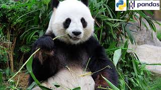 #Python #Pandas #DataFrame Tutorials.