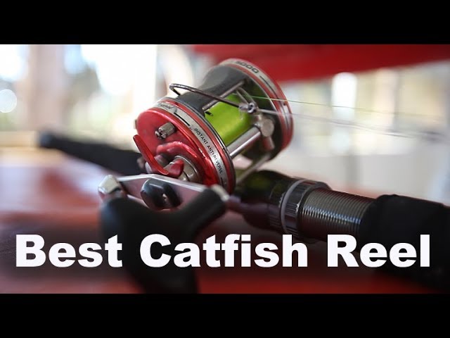 The BEST Catfish Reel 