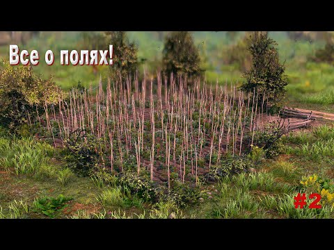 Видео: Farthest Frontier гайд: Поля, огороды, земледелие! #2