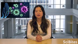 NIH SciBites: What Our Proteins Can Tell Us About Autoimmune Diseases