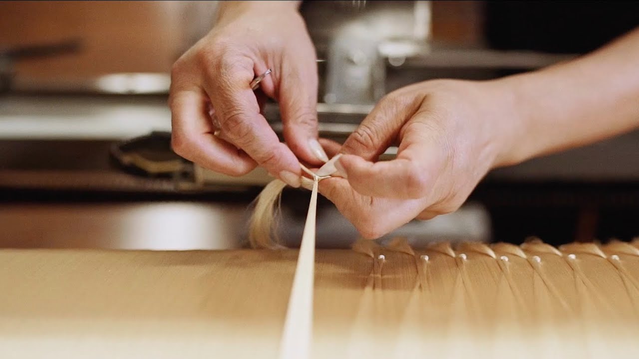 Fondazione Lisio - Eventi e formazione