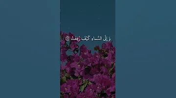 تلاوة أبكت الملايين من سورة الغاشية عبد الباسط قرآن اكسبلور Abdul Basit 