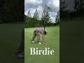 70台のリアル　Birdie集Part4#ゴルフ #golf #ゴルフスイング #golfswing