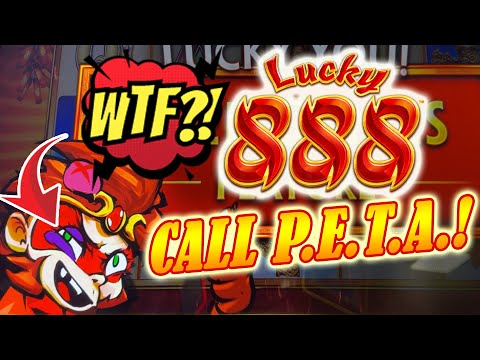 NEW Lucky 888 Slot! That Poor Monkey, LOL! 2nd Attempt with More Bonuses at Club Fortune casino!