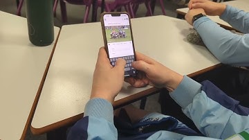 Online Analysis and Team Collaboration with Nacsport Hub