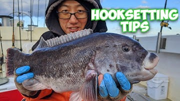 Blackfish (Tautog) Jigging When to Swing? Secrets Revealed!