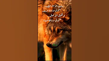صاحب الأصل VS قليل الأصل 