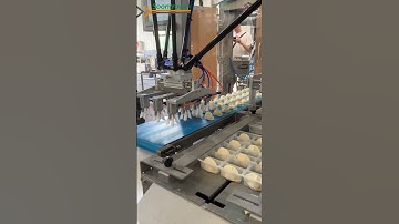 robot arm机械手夹饺子