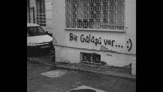 Belki X Bir Beyaz Orkide indir