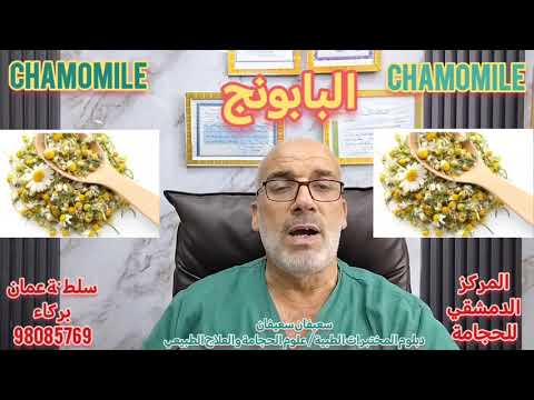 البابونج