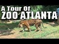 A Tour of Zoo Atlanta