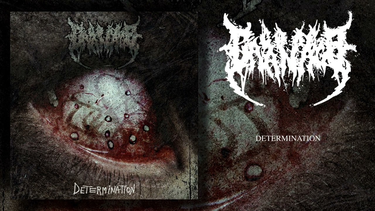 Gore Carnage - Determination (full Single)