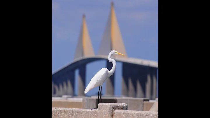 Introducing Robert Joiner's Fishing Corner! "CATHC...